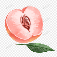 WWW,nnn89·COM网站APPAPP应用